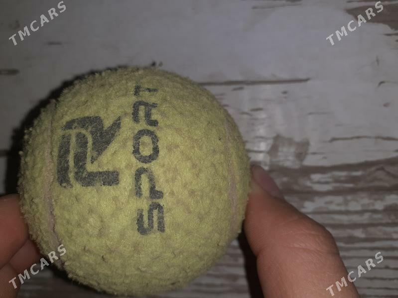 tennis top - Daşoguz - img 1