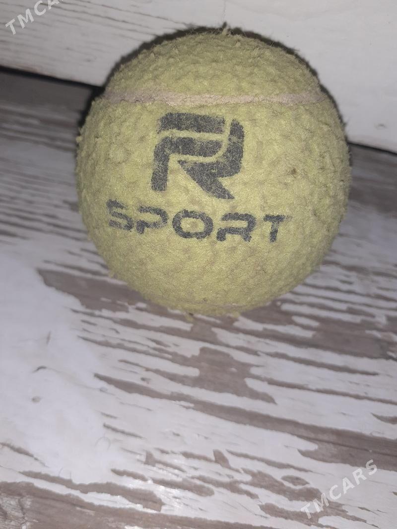 tennis top - Daşoguz - img 2