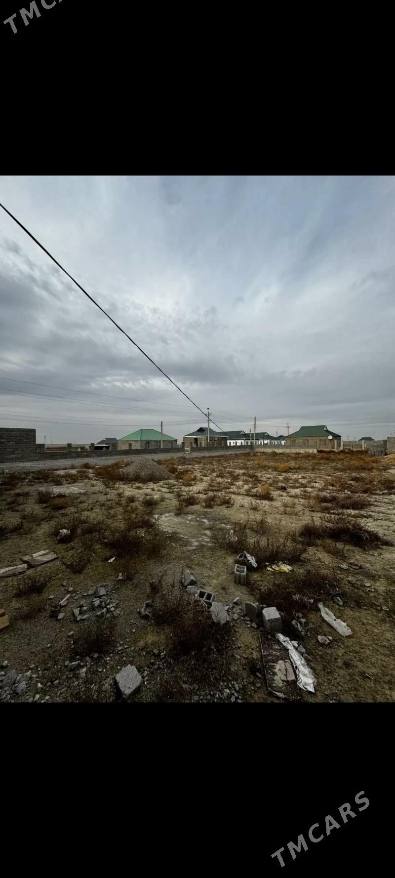 Bos mellek - Ak bugdaý etraby - img 2