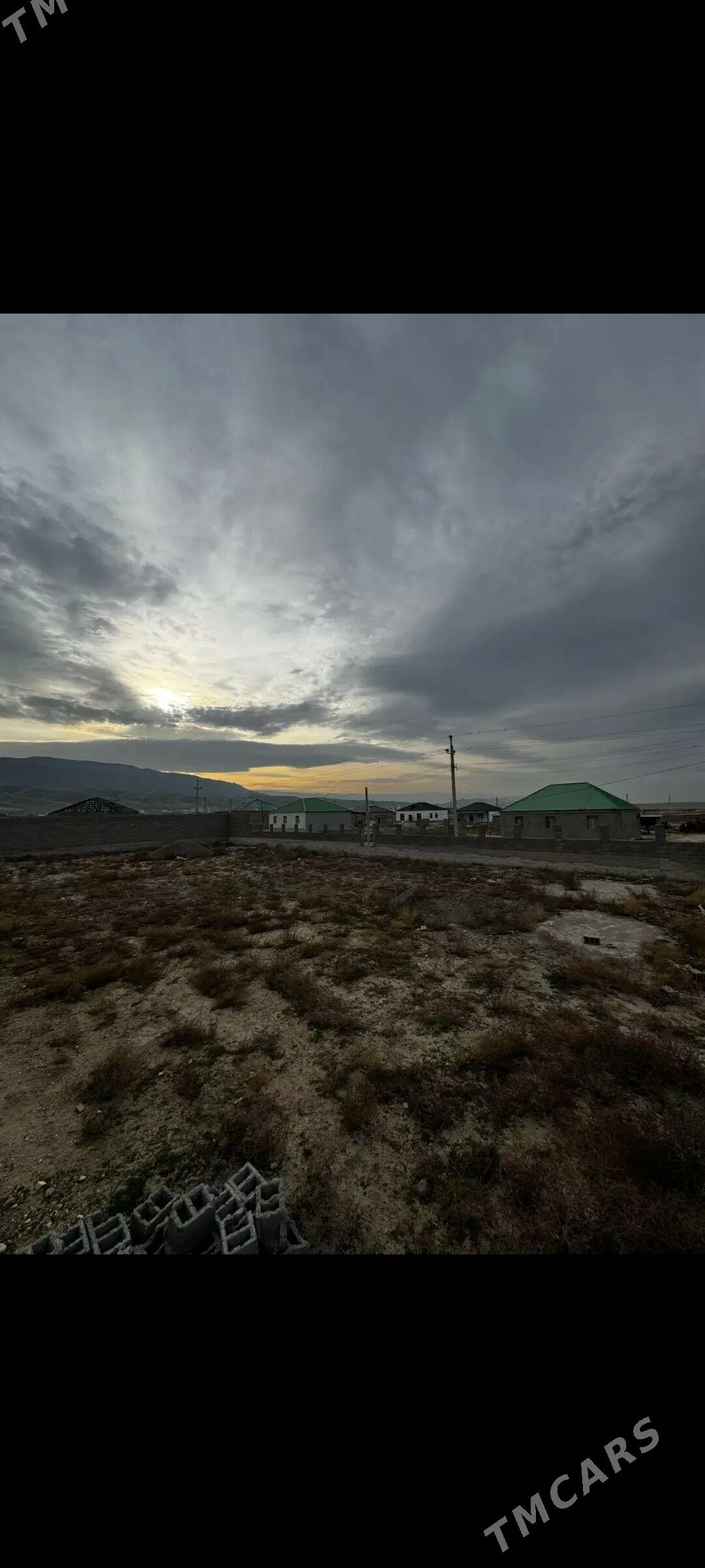 Bos mellek - Ak bugdaý etraby - img 5