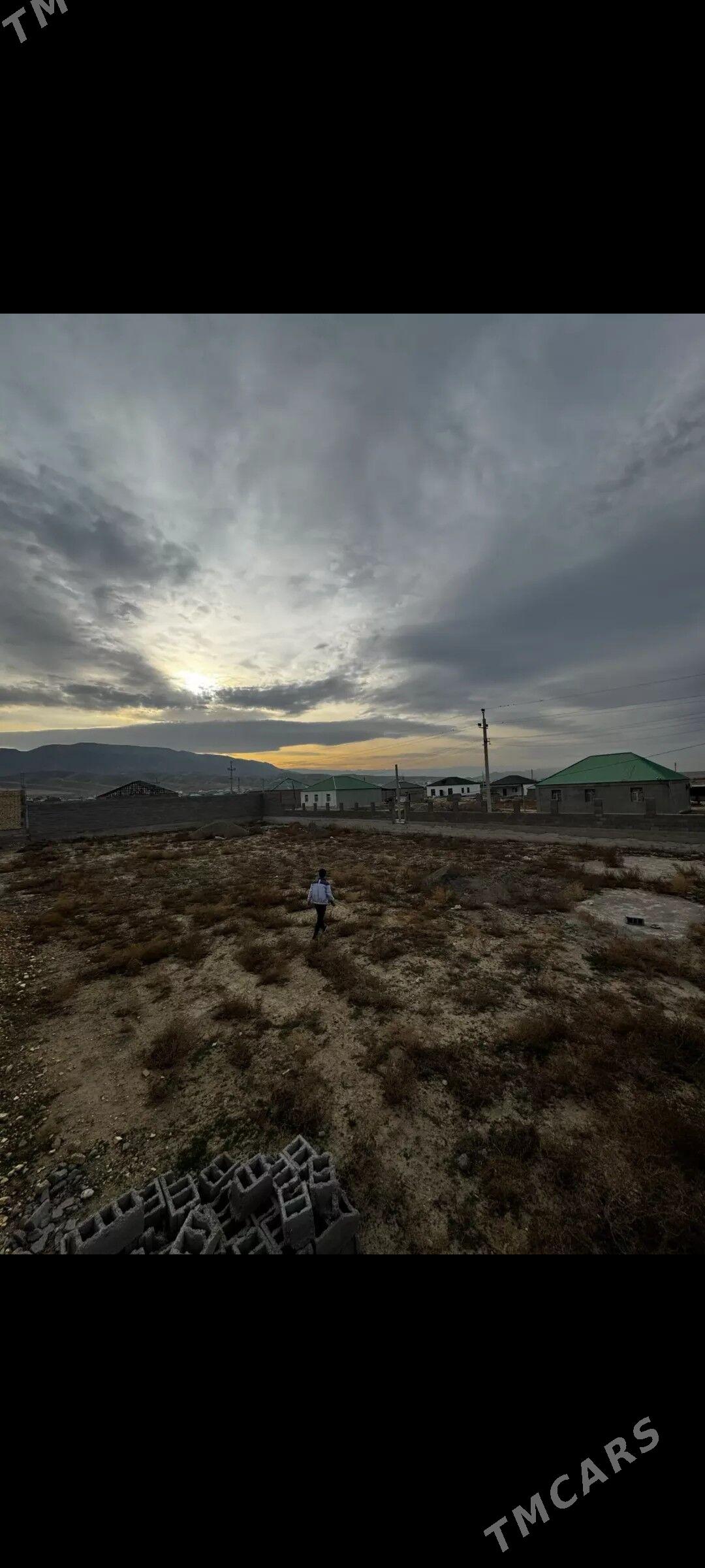 Bos mellek - Ak bugdaý etraby - img 3