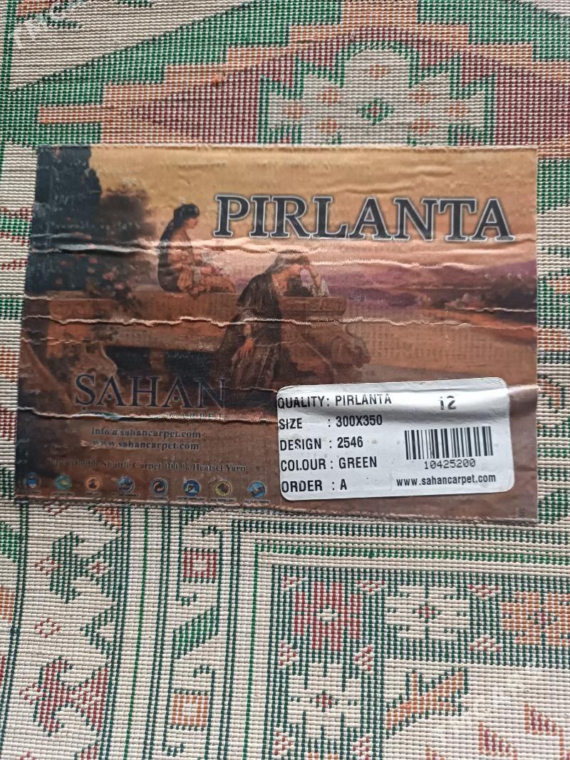 Haly - Gurtly - img 3