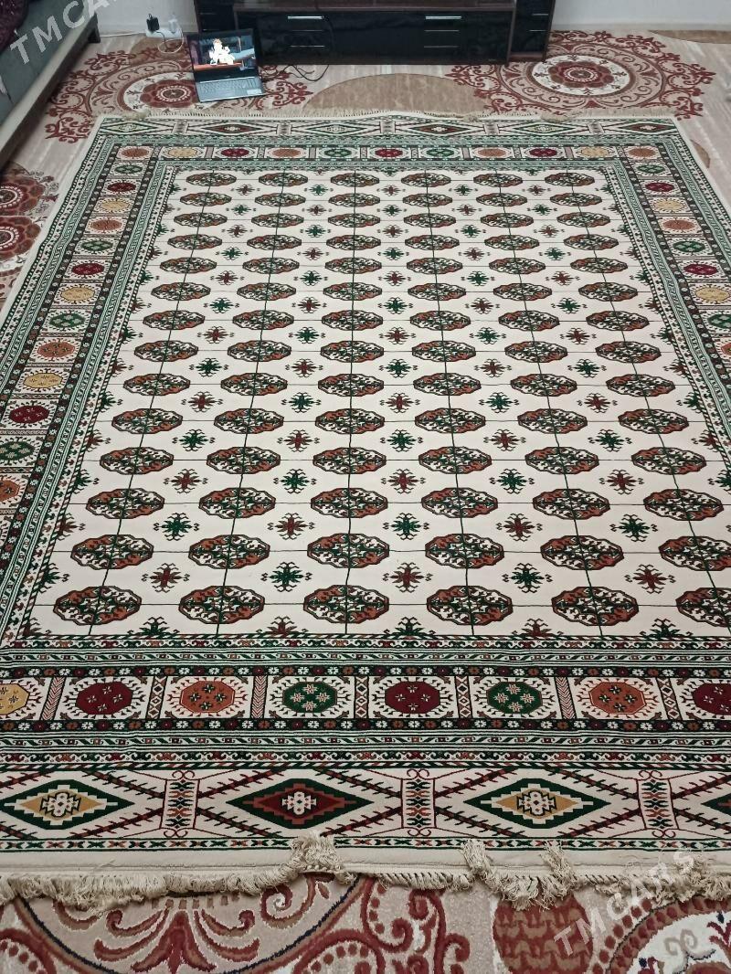 Haly - Gurtly - img 2