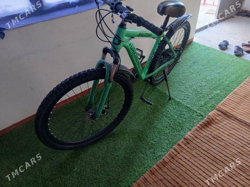 Tigir - Теджен - img 2