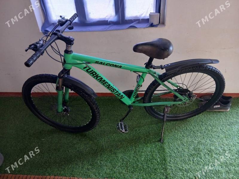 Tigir - Теджен - img 1