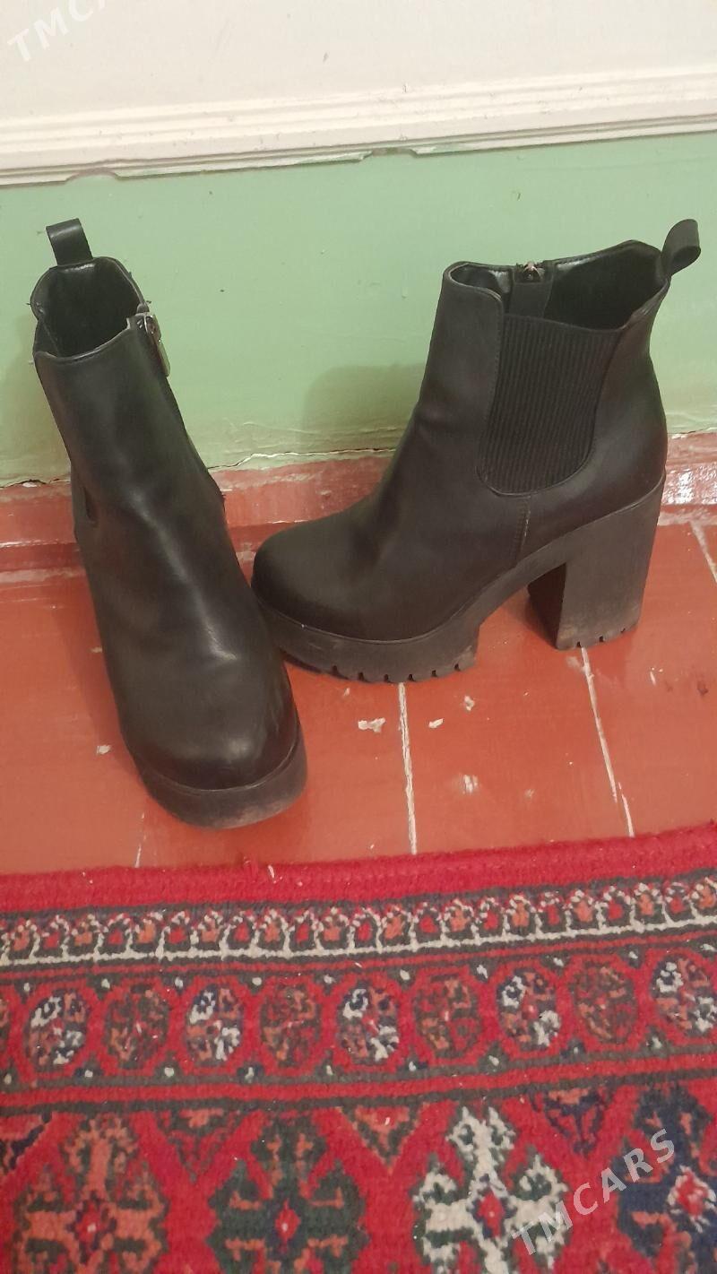 адик - Daşoguz - img 1