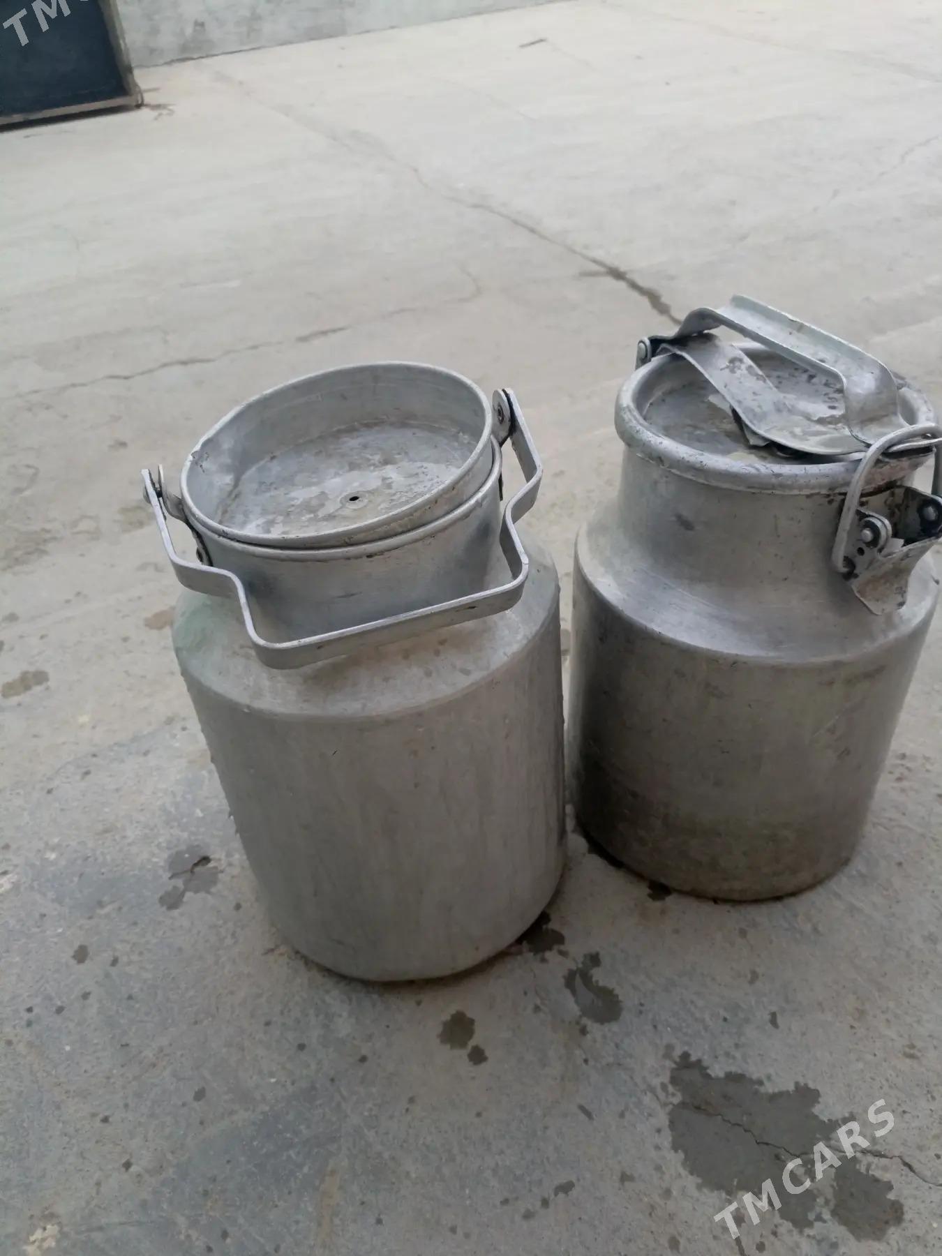 filýaga - Garadamak Şor - img 1