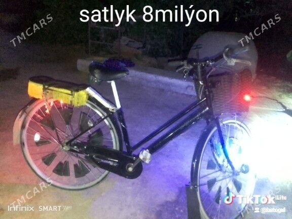 welik - Mary - img 7