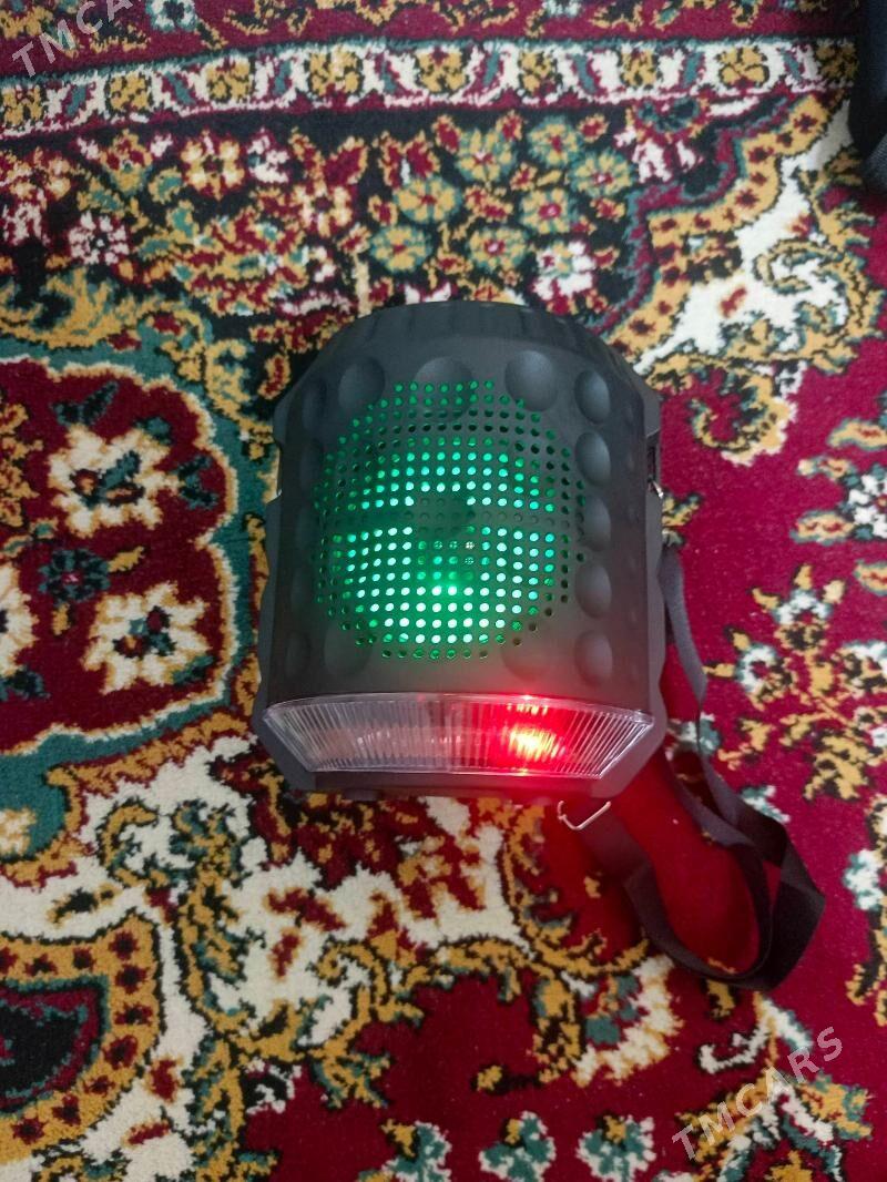 S23 KALONKA ULANYLMADYK - Гаудан "В" - img 4