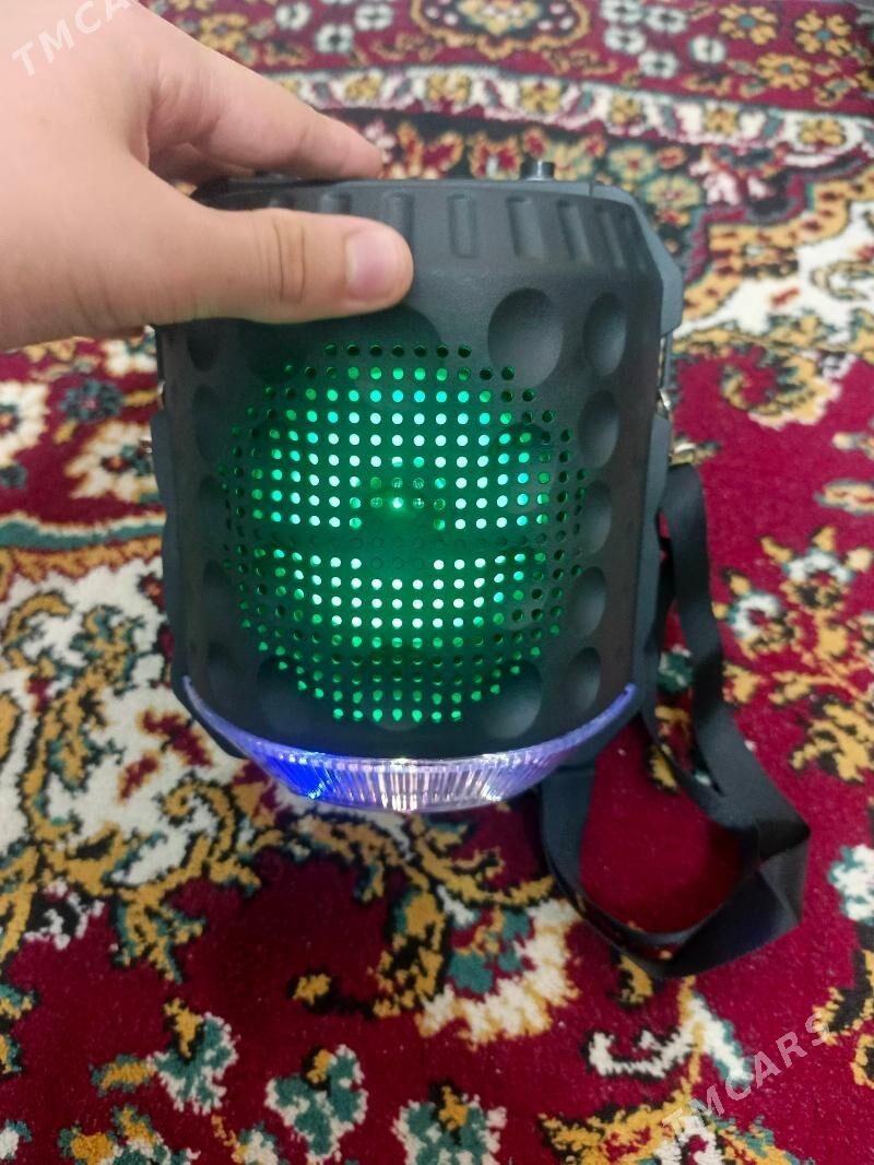 S23 KALONKA ULANYLMADYK - Гаудан "В" - img 2