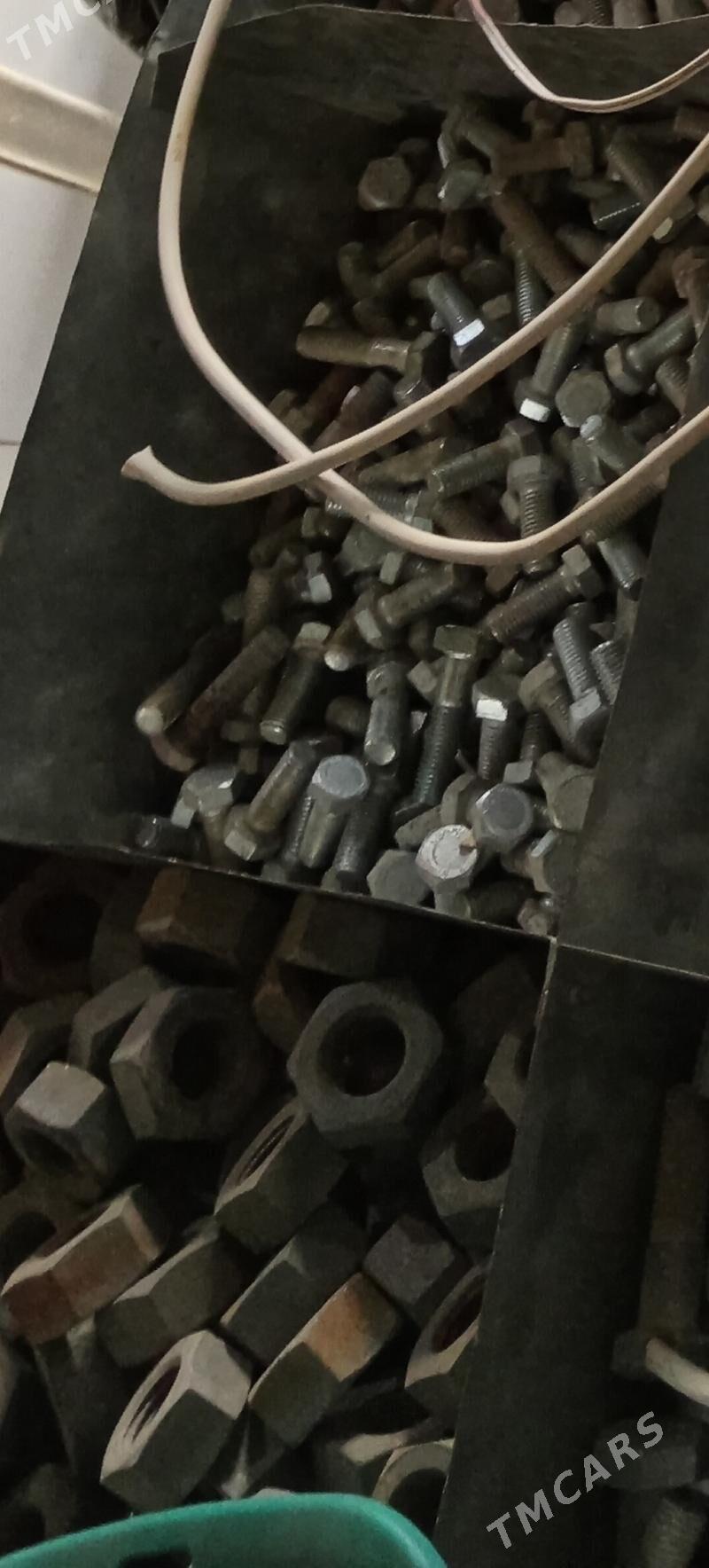 Bolt gayka kalyony - Ak bugdaý etraby - img 2