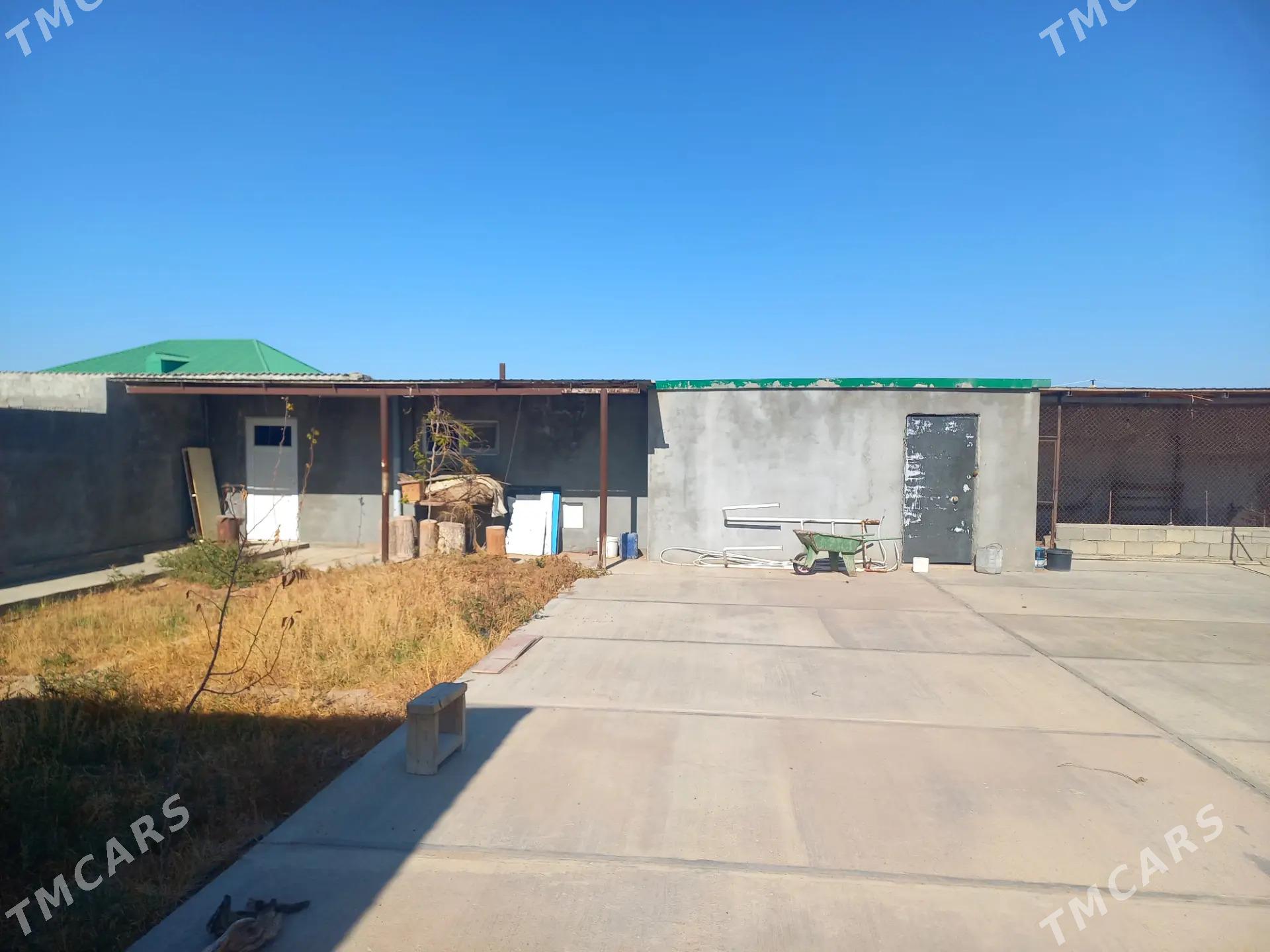 Satlyk Jay Onaldy - Aşgabat - img 9