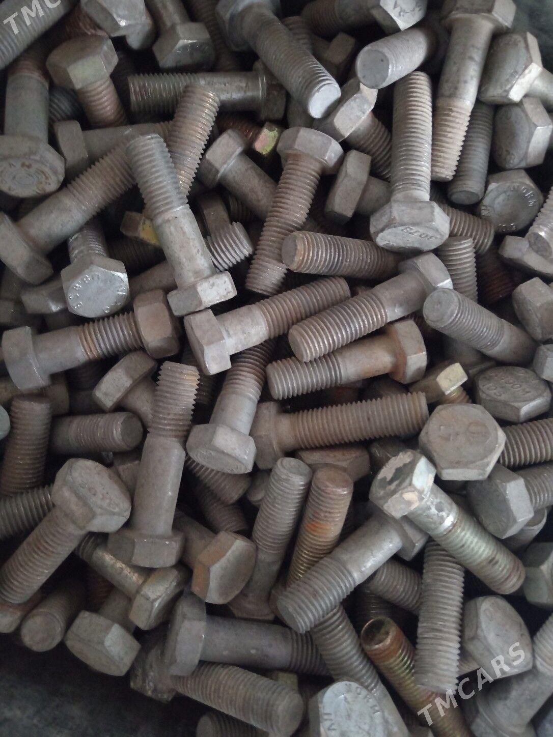 Bolt gayka kalyony - Ak bugdaý etraby - img 3