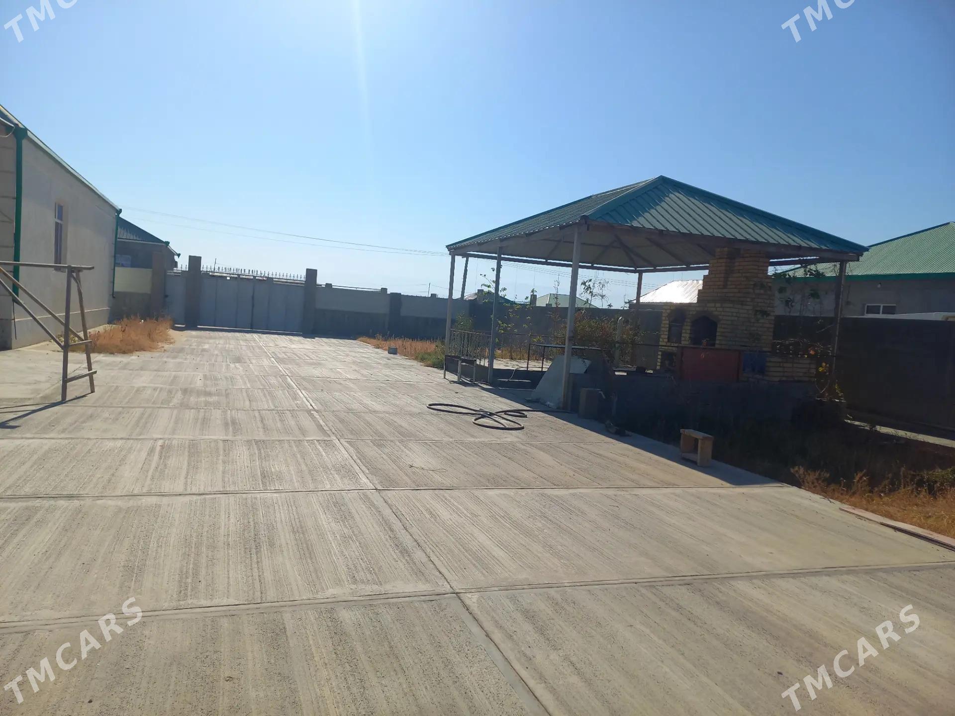 Satlyk Jay Onaldy - Aşgabat - img 8