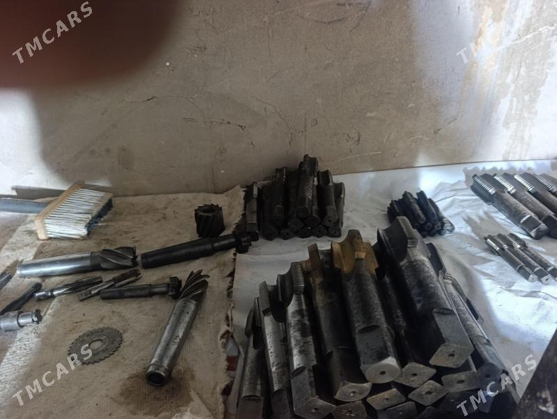 Метчики, Плешки - Türkmenabat - img 4