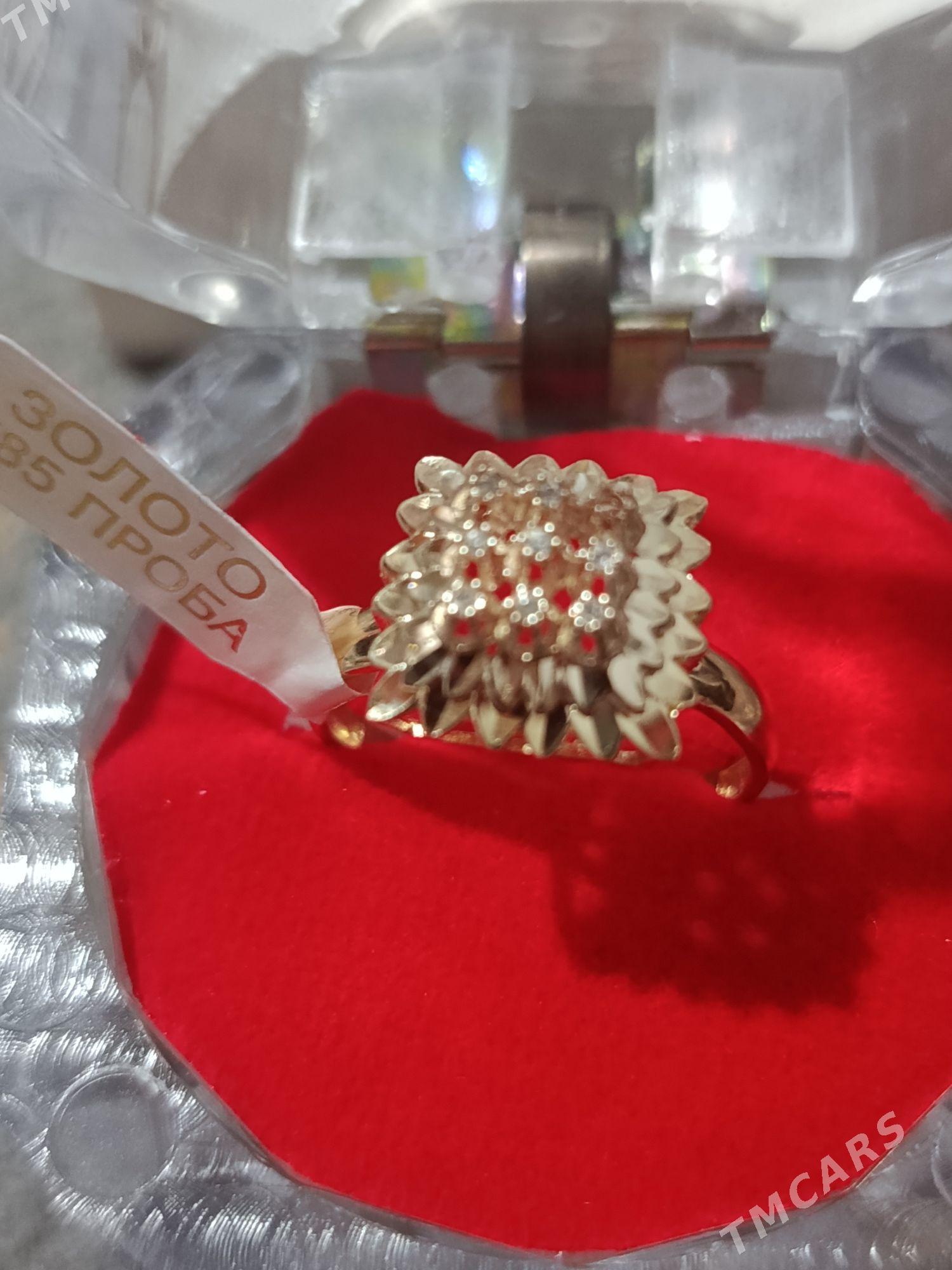 gyzyl ŷuzuk - Ашхабад - img 2