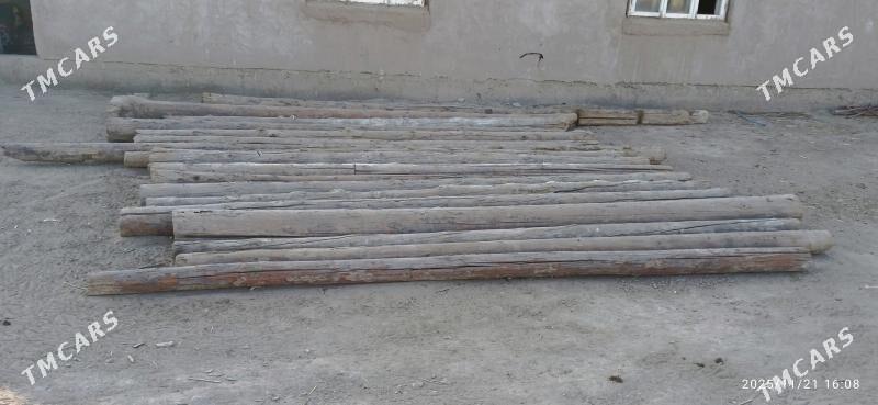 agaç - Дашогуз - img 1