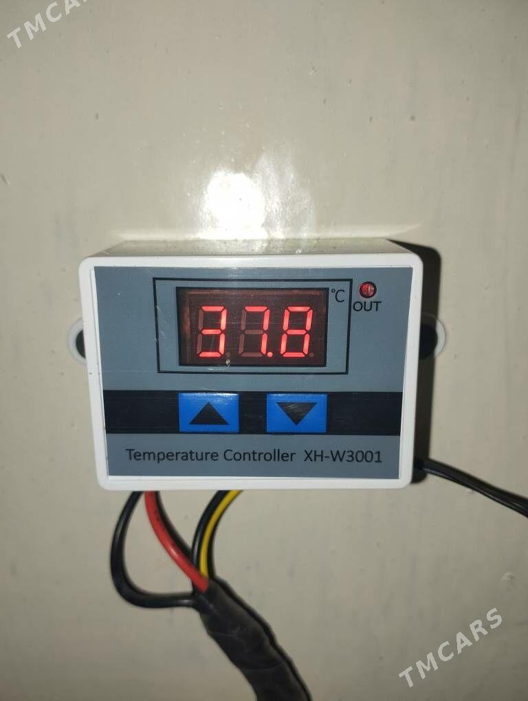 ИНКУБАТОР  INKUBATOR - Balkanabat - img 5