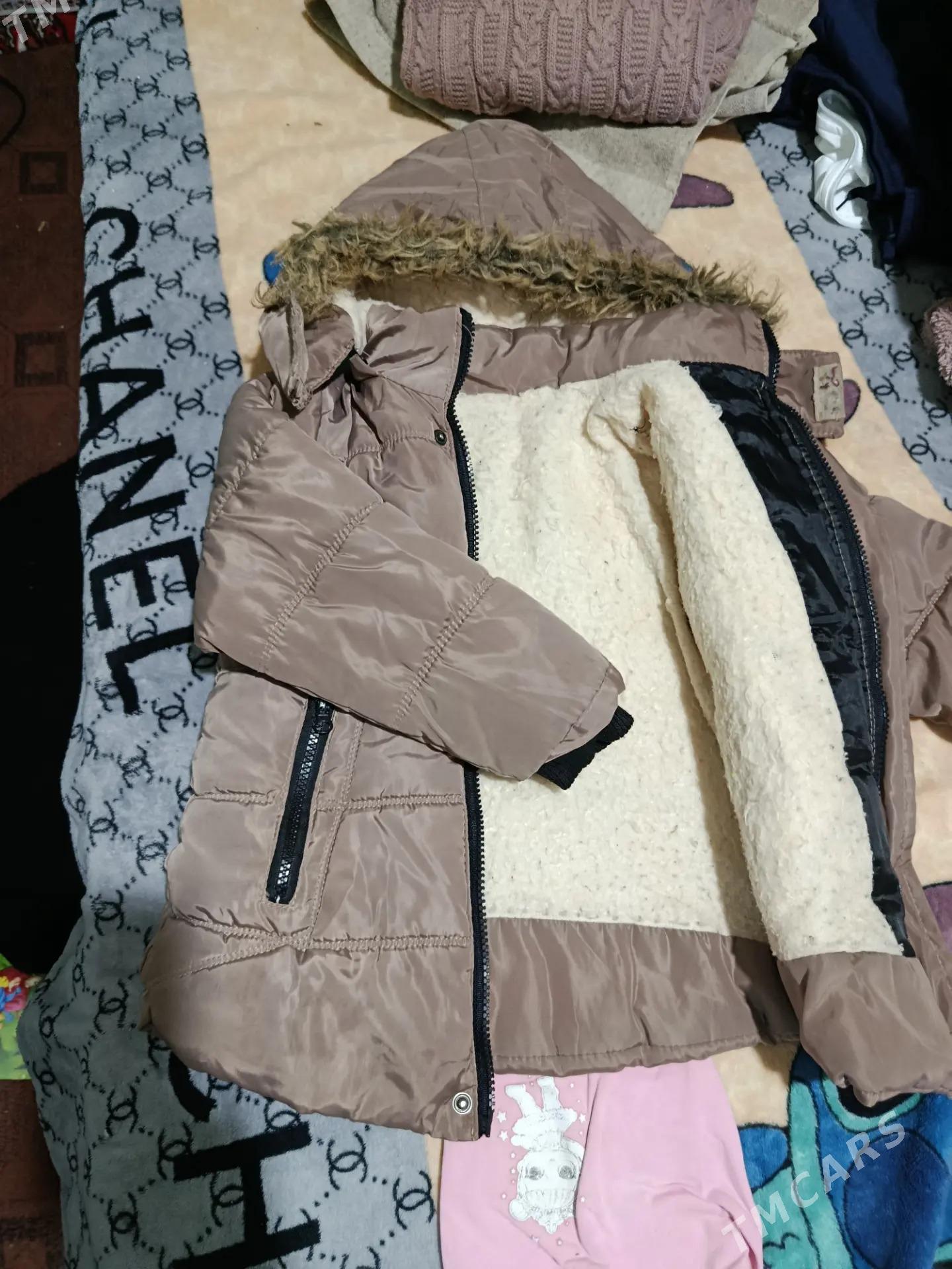 Kurtkalar - Daşoguz - img 2