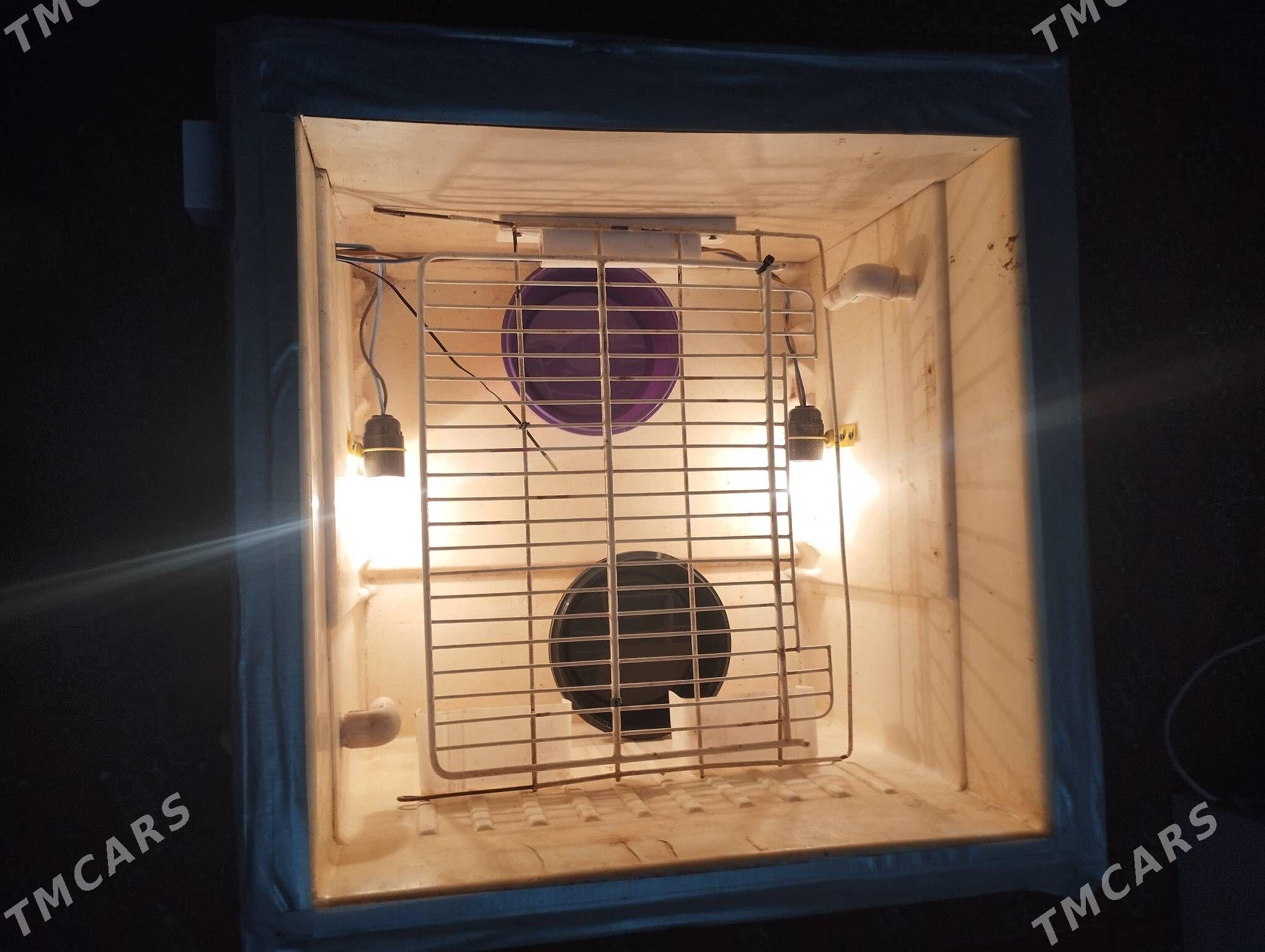 INKUBATOR ИНКУБАТОР - Balkanabat - img 4