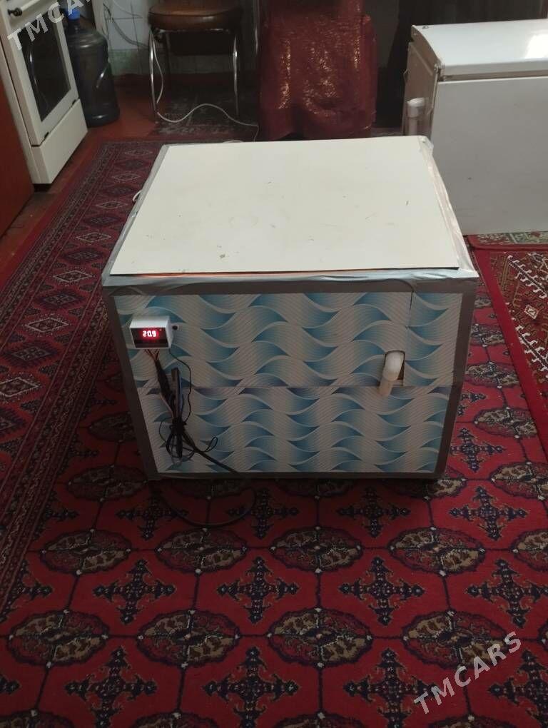 INKUBATOR ИНКУБАТОР - Balkanabat - img 2