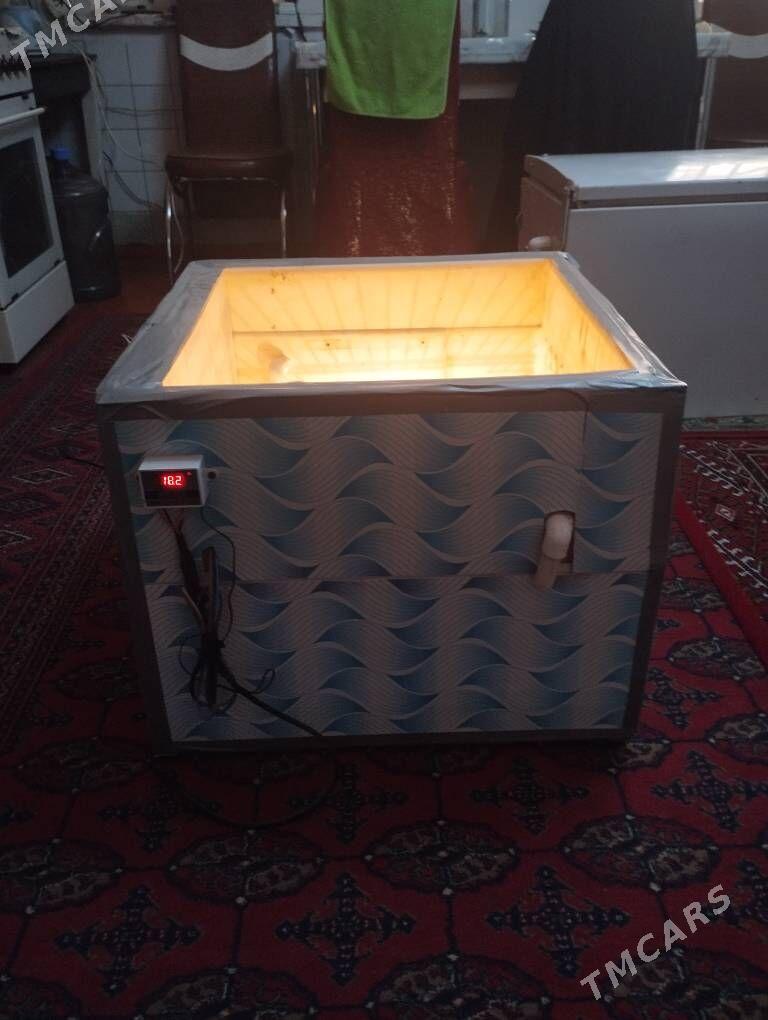 INKUBATOR ИНКУБАТОР - Balkanabat - img 3