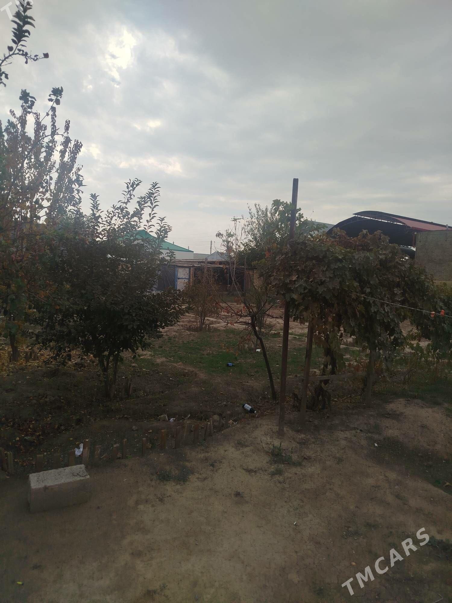 satlyk jay - Анев - img 8