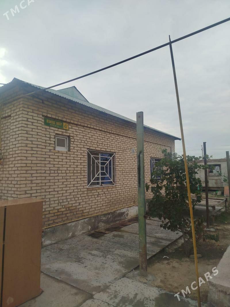 satlyk jay - Анев - img 7