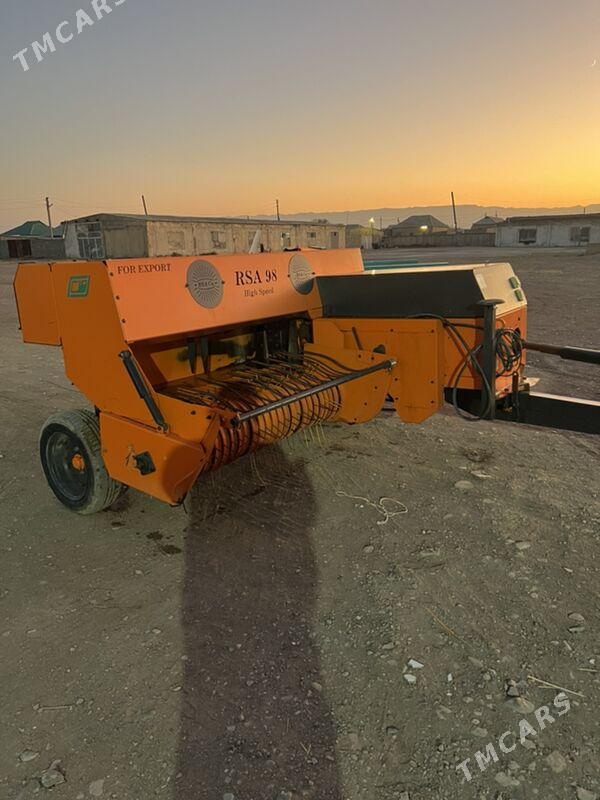 Pres bogýan - Ýaşlyk - img 1