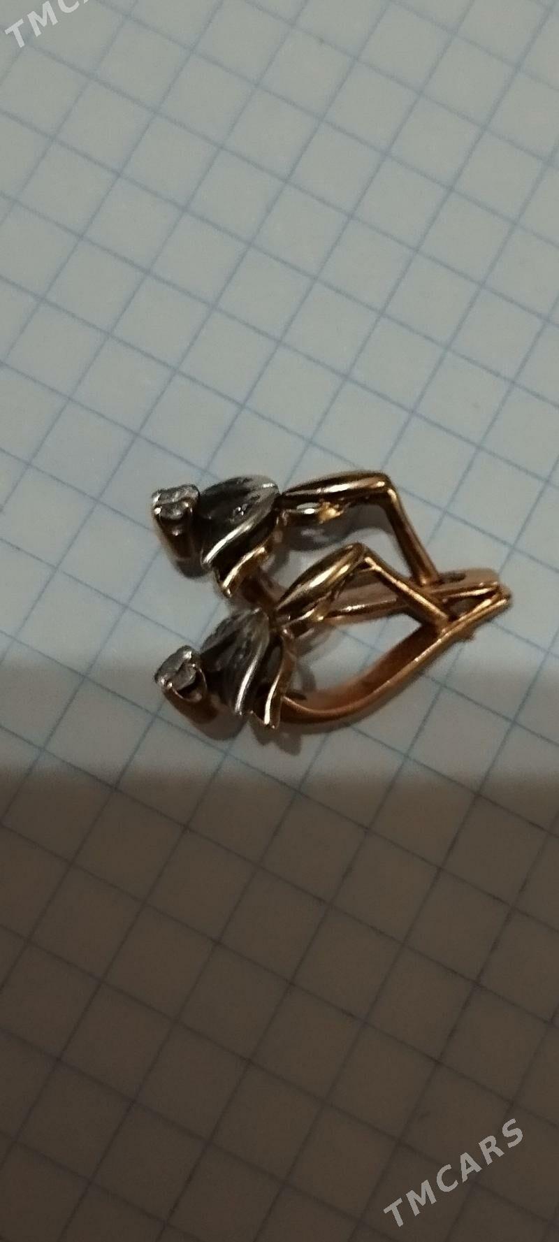 gyzyl halka - Gyzylarbat - img 2