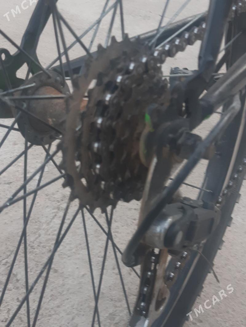 Turkmenistan tigir - Чоганлы - img 5