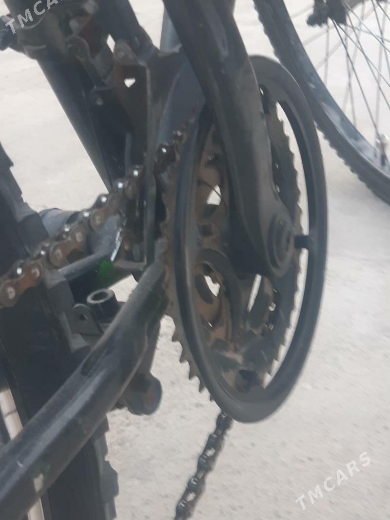 Turkmenistan tigir - Чоганлы - img 4