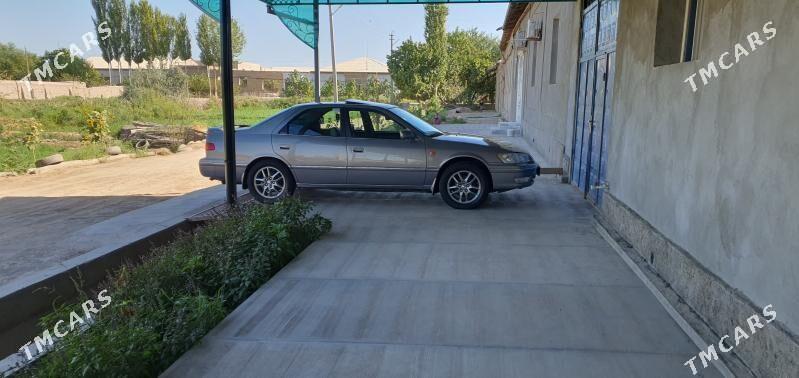 Toyota Camry 2001 - 240 000 TMT - Gurbansoltan Eje - img 7