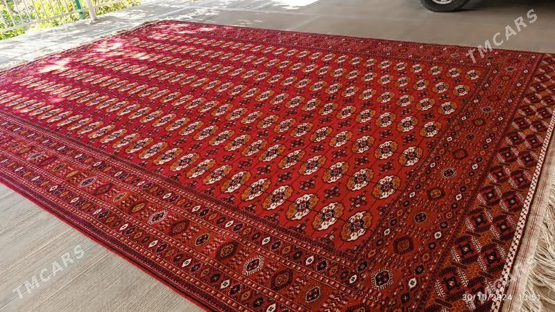 Haly - Досааф - img 2