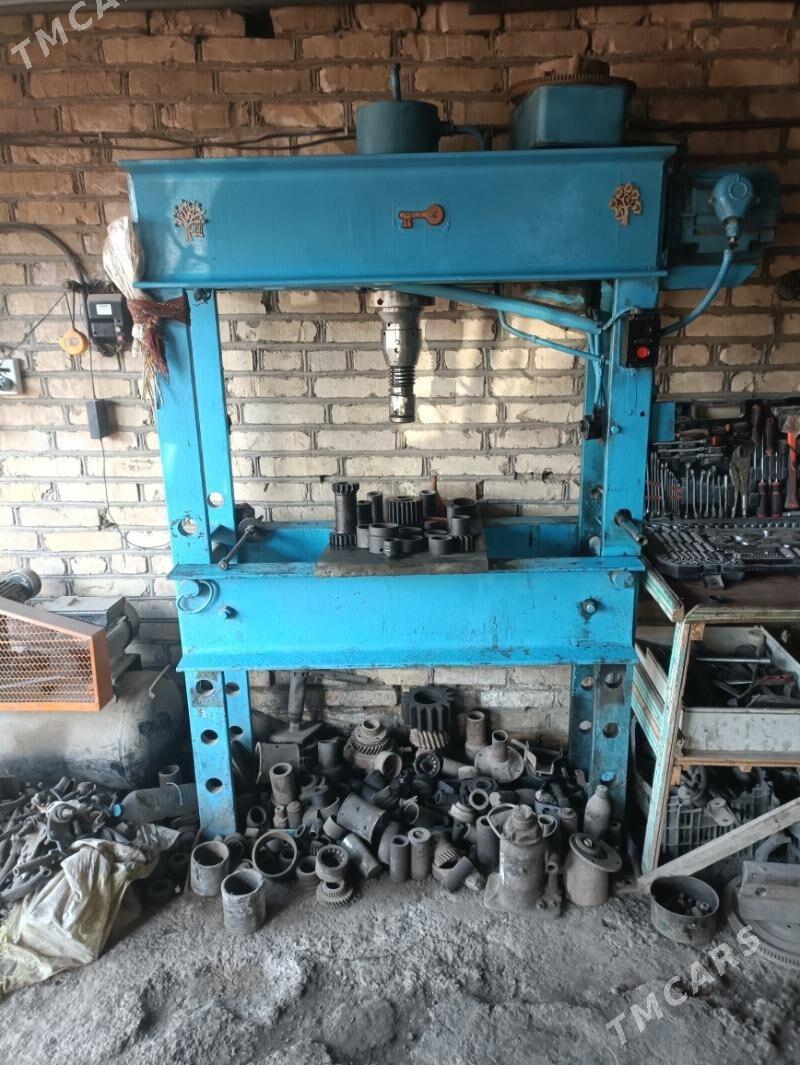 Pres 40 tonlyk - Mary - img 2