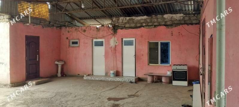 Satlyk Daca - Ak bugdaý etraby - img 1