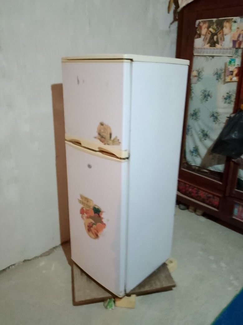 holadilnik - Murgap - img 5