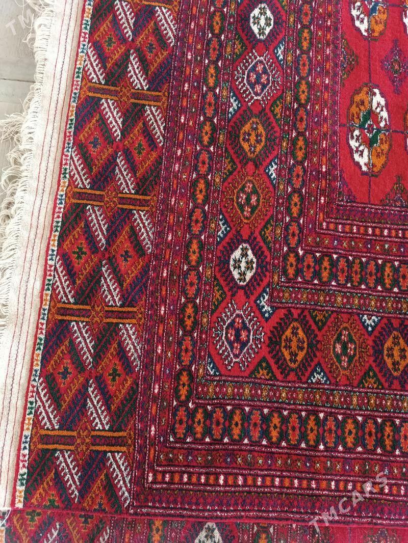 Haly - Dosaaf - img 3