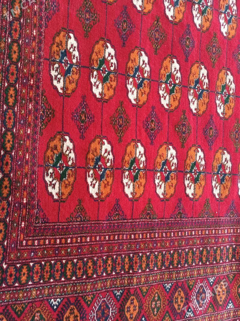 Haly - Dosaaf - img 2