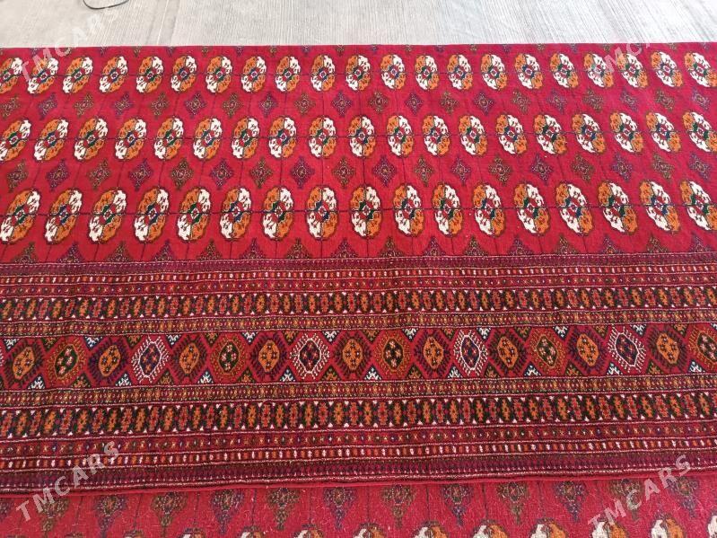 Haly - Dosaaf - img 4