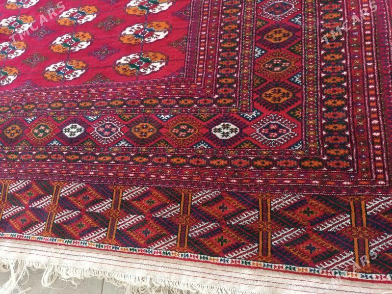 Haly - Dosaaf - img 5