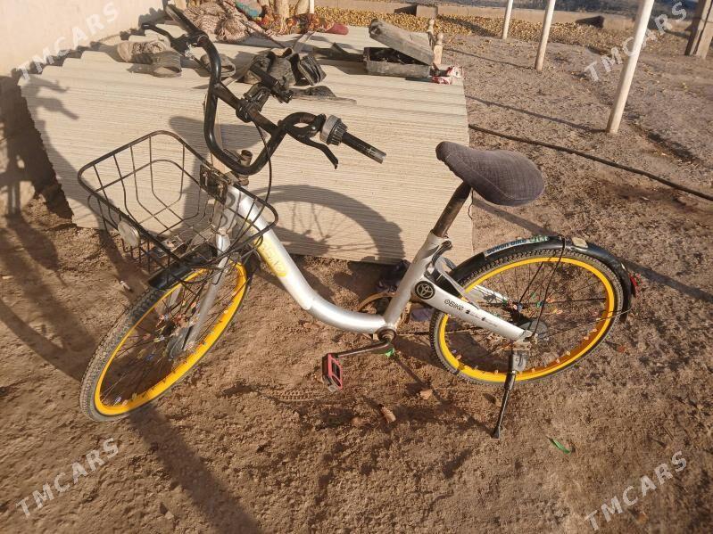 Welsepet - Gubadag - img 3