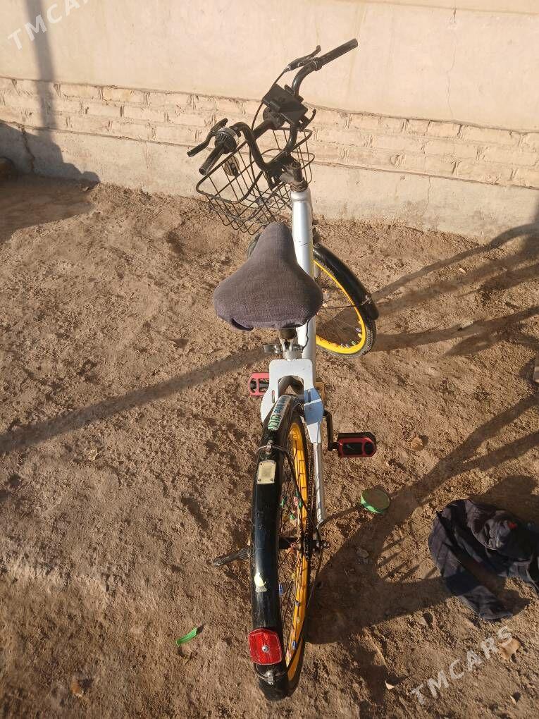 Welsepet - Gubadag - img 2