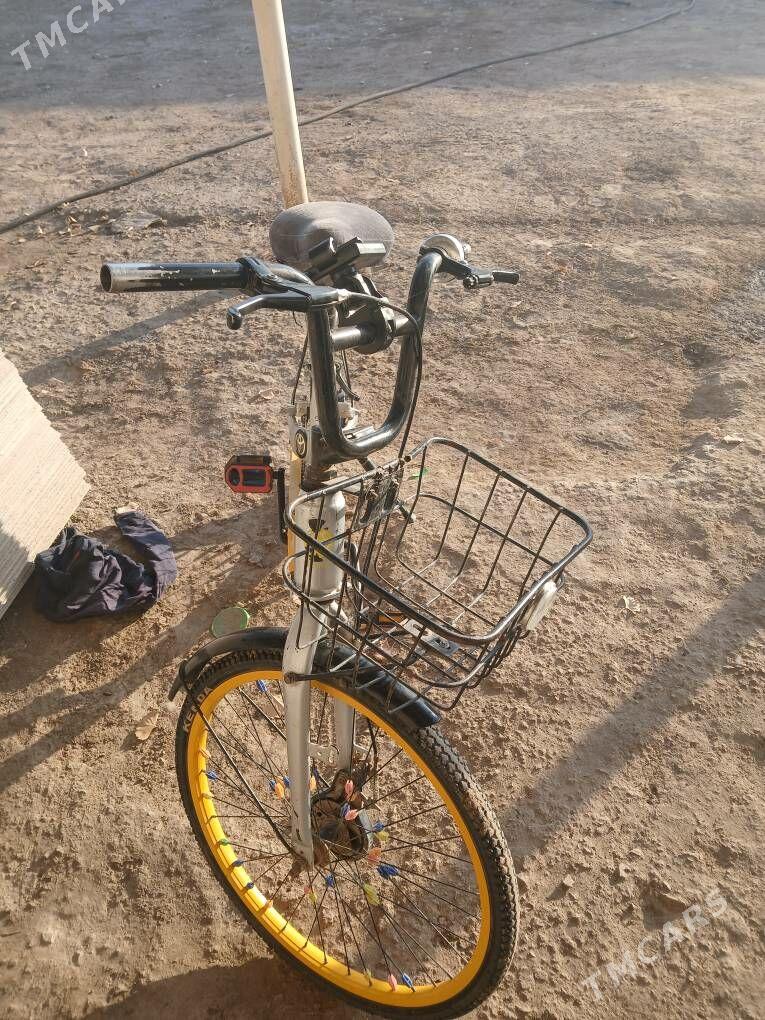 Welsepet - Gubadag - img 1