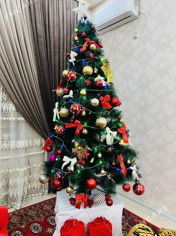 ýolka - Daşoguz - img 3