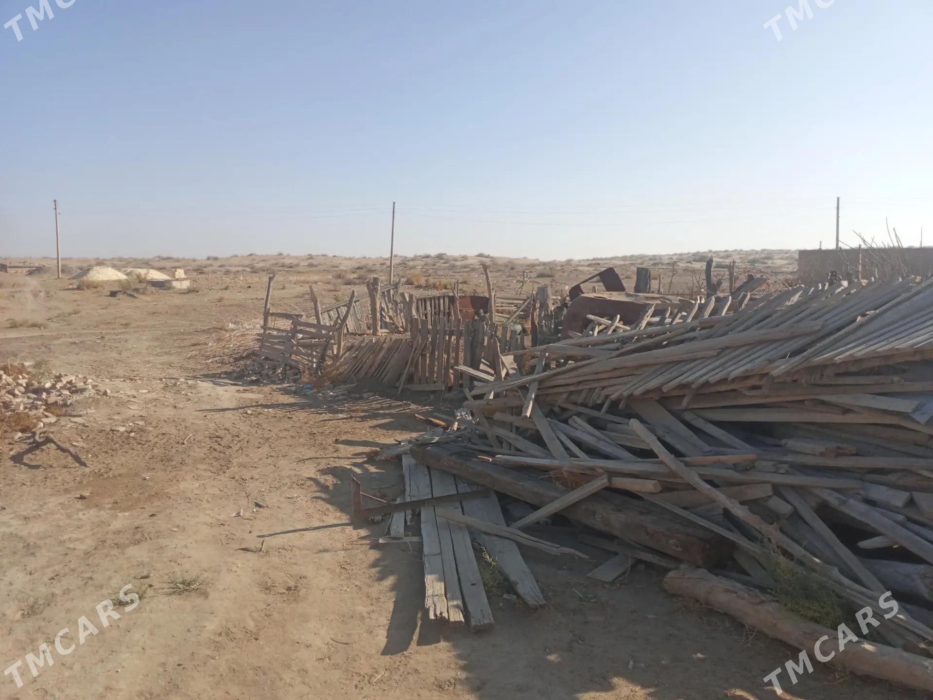 ağaç - Baýramaly - img 2