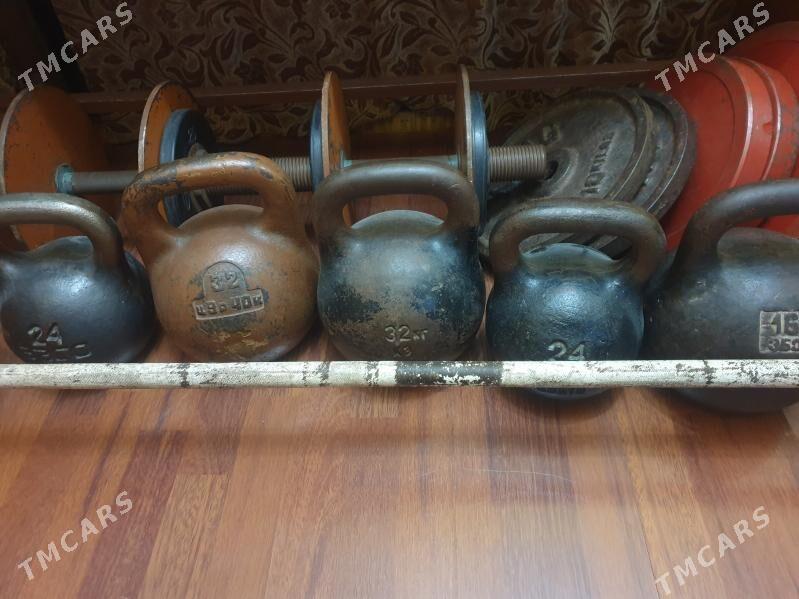 спортивное железо - Район ст. Аэропорта, ул. Гагарина - img 2