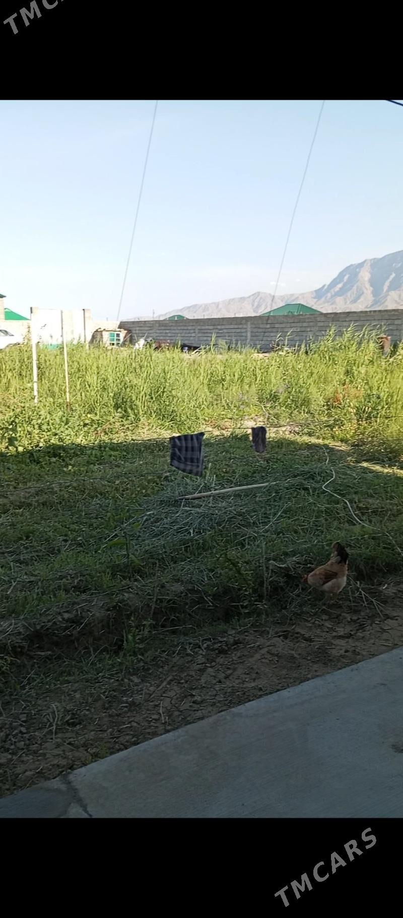 Gokdepe Kelejar - Гёкдепе - img 5