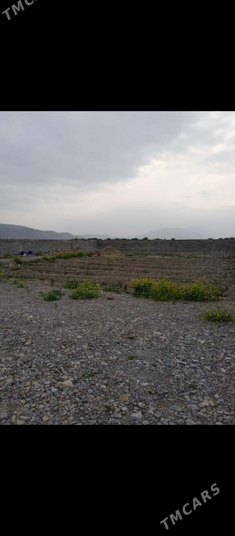 Gokdepe Kelejar - Гёкдепе - img 4