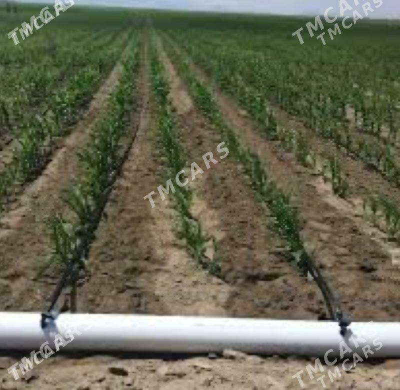 Dürli bag nahallary - Türkmenabat - img 5